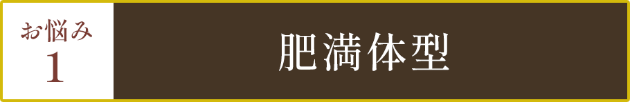 お悩み１肥満体型