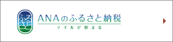 ANAのふるさと納税